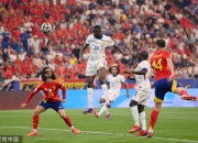 开云体育-包含全力拼搏！欧洲国家杯赛场上竞技火热的词条