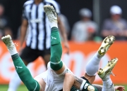 开云体育中国官网-阿根廷完胜塞内加尔，哈弗茨状态火热的简单介绍