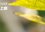 开云体育在线-赛道与绿茵的交响，当F1争冠夜遇见哈兰德封神