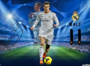 开云体育下载-南粤雄狮咆哮五棵松，广东全面压制背后的战术密码与意志胜利