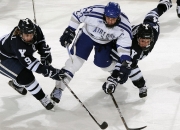 开云平台-猛龙击败骑士，福克斯在意甲焦点战接管比赛，跨越体育的胜利交响