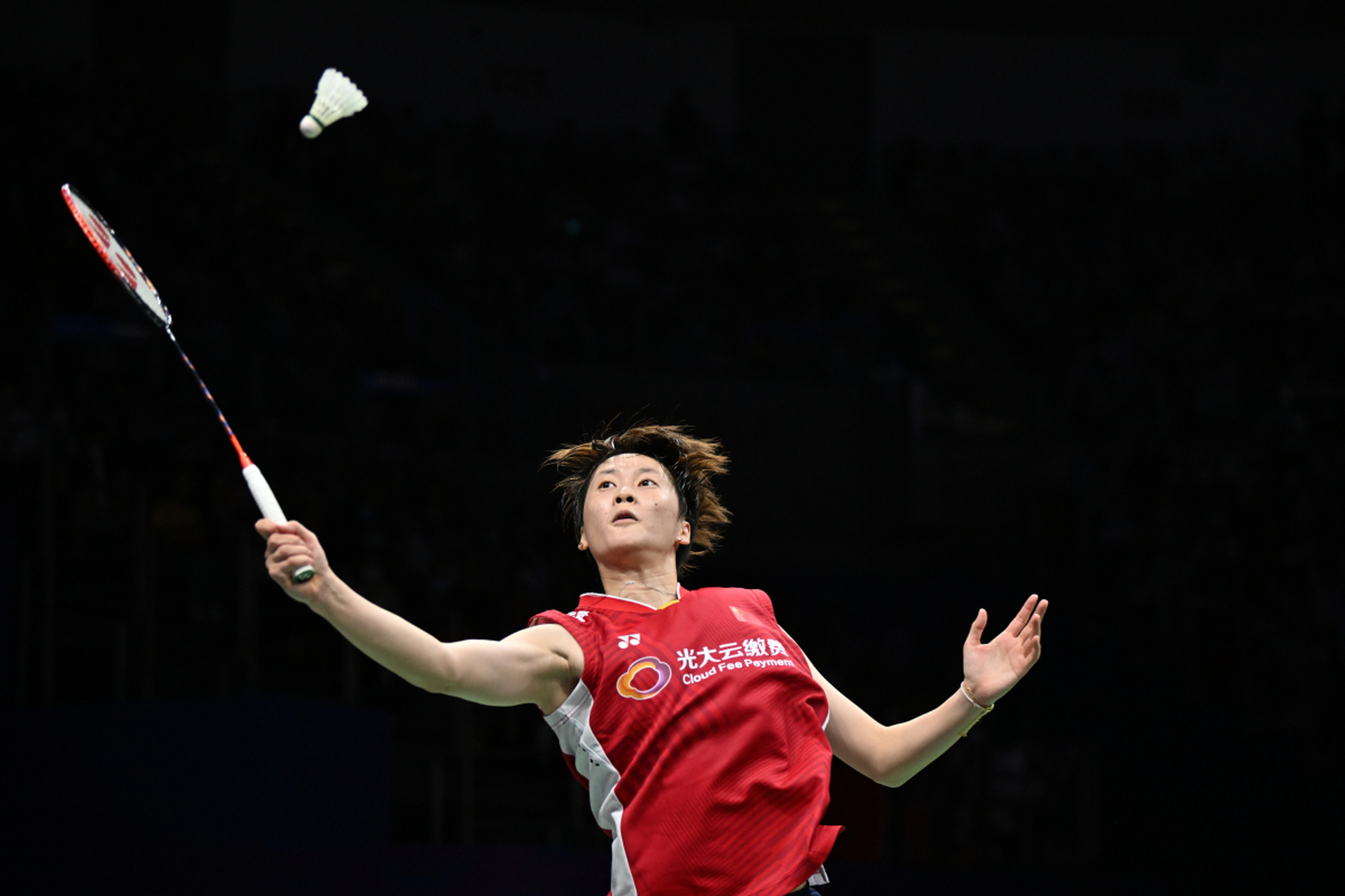 法国羽毛球队力克泰国羽毛球队，马琳高光表现的简单介绍