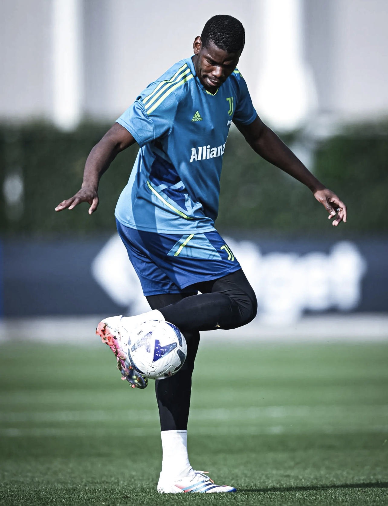 法国逆转巴西,博格巴2高光表现 法国逆转巴西,博格巴2高光表现