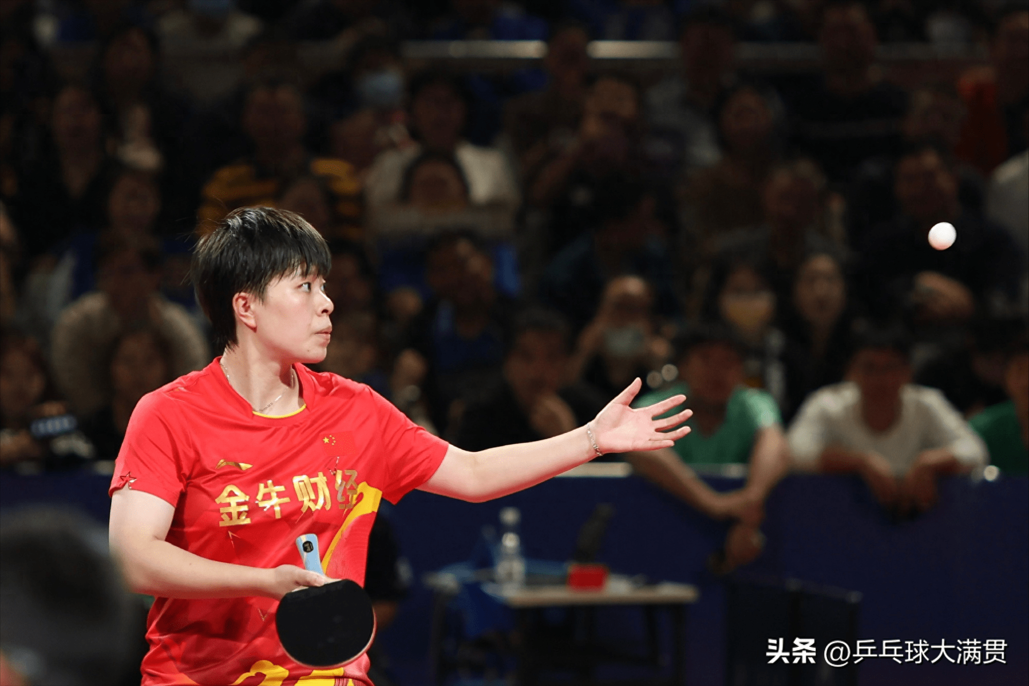 湖南队再胜,血气方刚昂首挺胸的简单介绍 湖南队再胜,血气方刚昂首挺胸的简单介绍