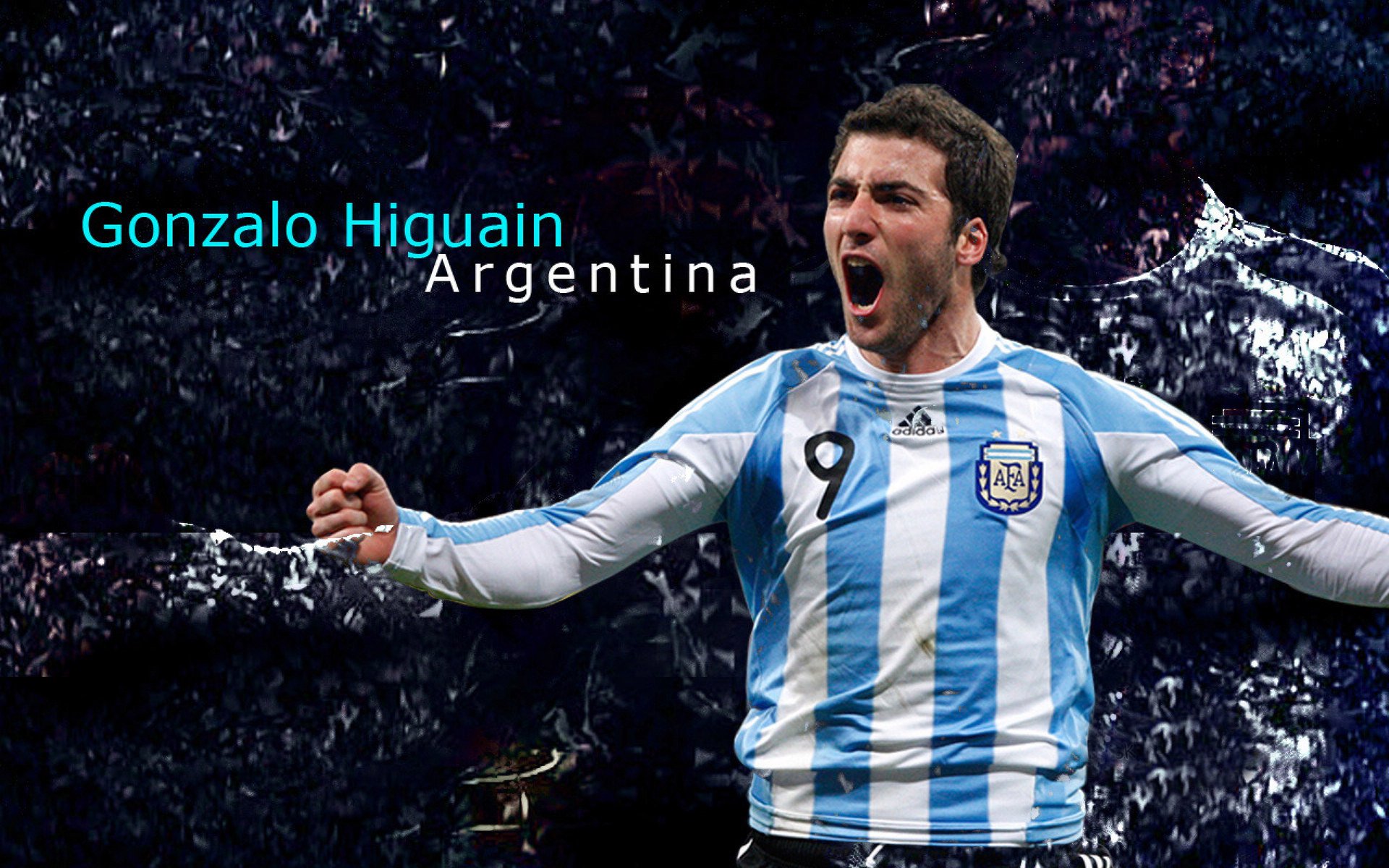 公牛撞鹰，福克斯启明星，唯强者，愈耀于旷野